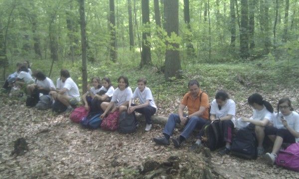 In the forest